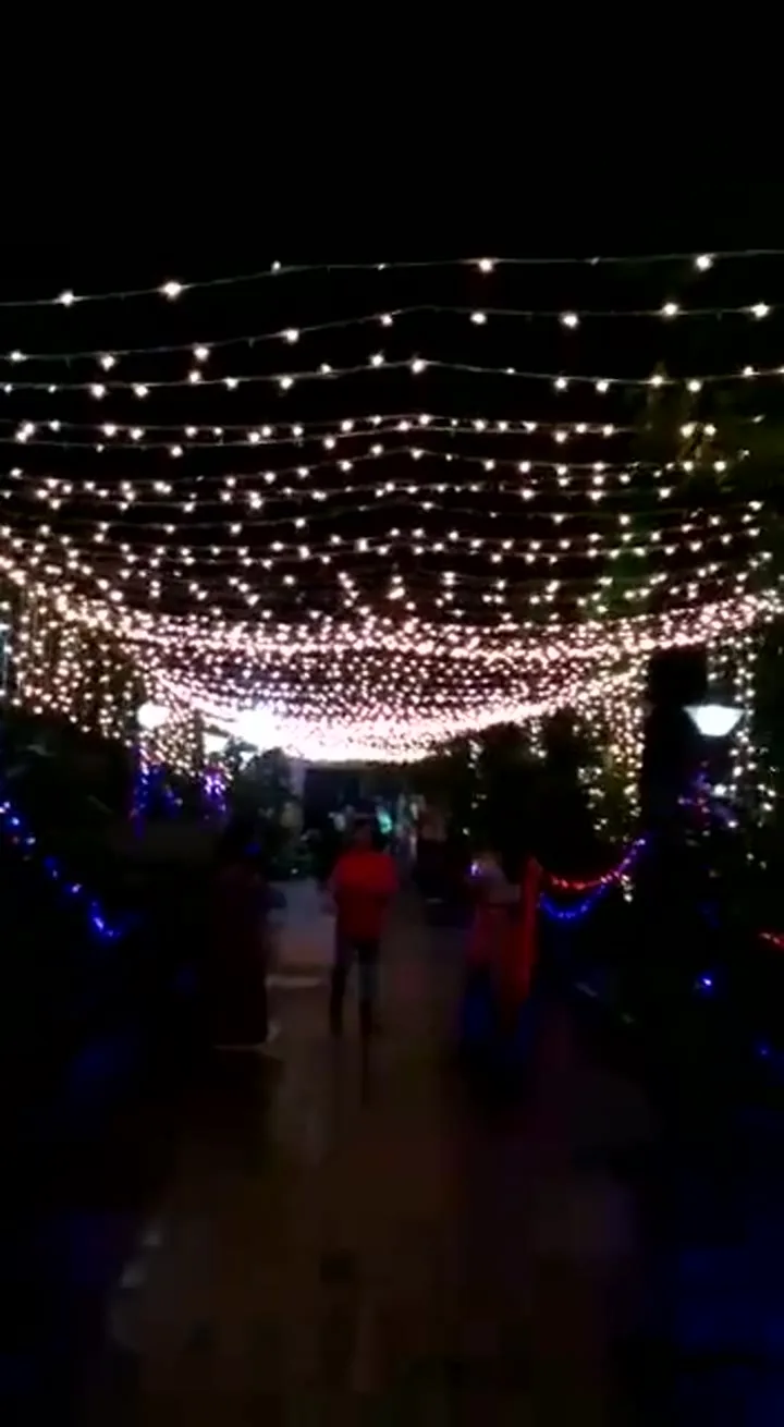 Fairy-light canopy over the walkway after dark — event by Plan With YOLO, Pune