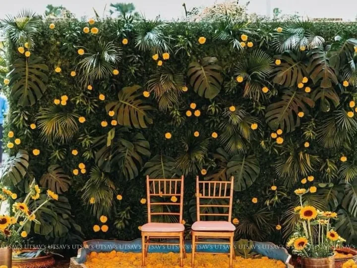 Greenery wall with seating for photographs — event by Plan With YOLO, Pune